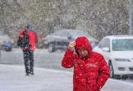 山西省农业农村厅下发做好降雪降温天气防范工作的通知