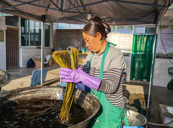 国社“晋”行时丨端阳佳节时，抒粽乡情、看新画卷、书烟火气