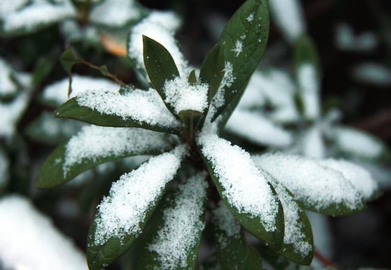 2月21日—22日，山西将有一次雨雪天气过程