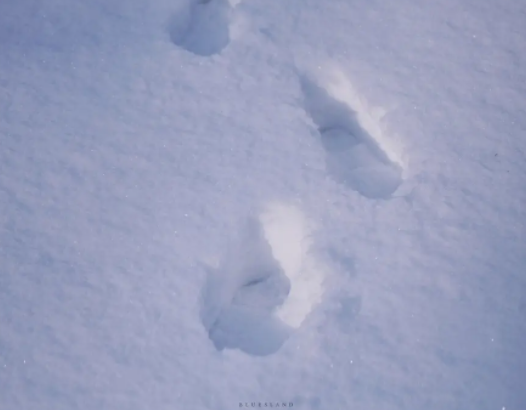 局地降雪量超20毫米 山西再发暴雪黄色预警